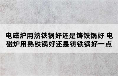 电磁炉用熟铁锅好还是铸铁锅好 电磁炉用熟铁锅好还是铸铁锅好一点